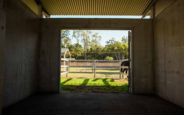 shady stable